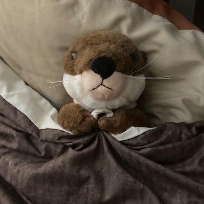 bigkitkatlurkin's profile picture. 29 / Just here to lurk / 🇨🇦