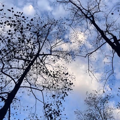 yanleixian89589's profile picture. 