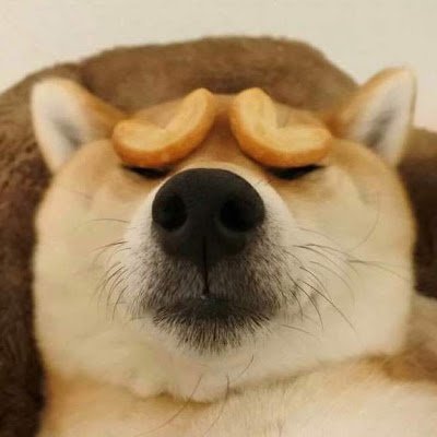 QWinnie75760's profile picture. 