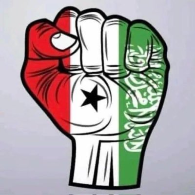 alswmaly903852's profile picture. 