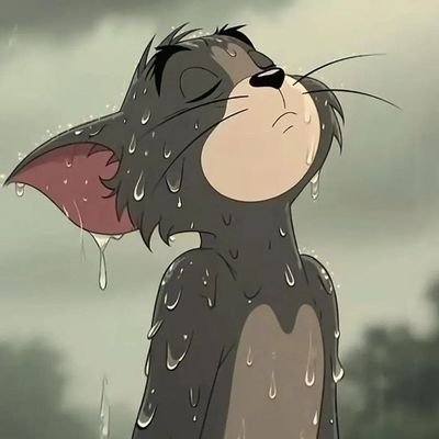 nishantbmr's profile picture. be kind 🍀