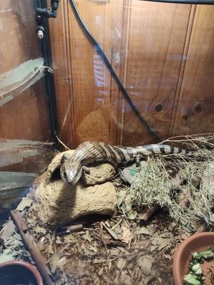 alex60274166462's profile picture. 