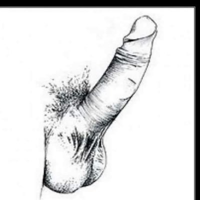 Rahul51tz's profile picture. 