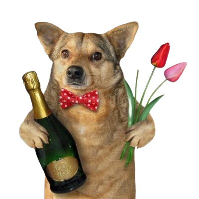 orange121111's profile picture. 