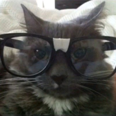 JamzDaSilly's profile picture. Artist/VA/Writer | Sonic.exe Freak | She/Him | Taken by: @DisoriVA | Please dont be weird to me.