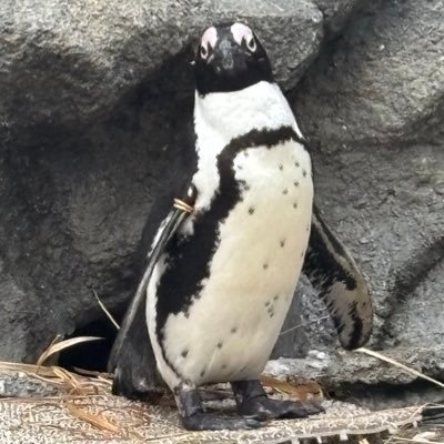 taku2807_mi's profile picture. 