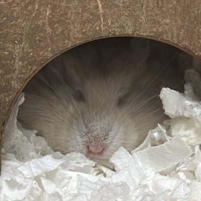 knittingjeon's profile picture. 뜨개합니다 야구도 봅니다 일상도 올립니다