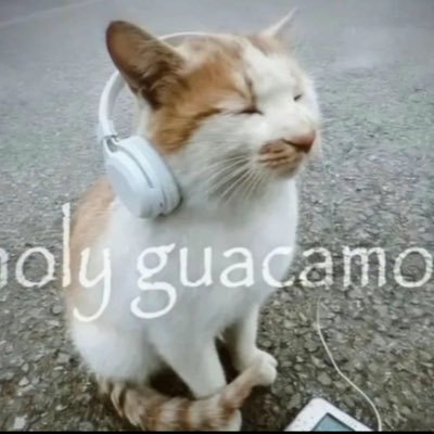 Zayzay_XL's profile picture. 