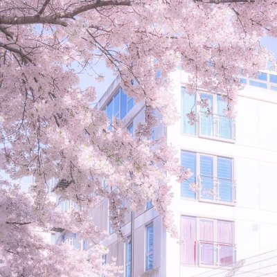 imjustastay2025's profile picture. 