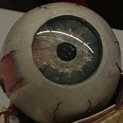 4evrspiraling's profile picture. ⚠️ unauthorized personnel keep out. just trauma and erotica ig...