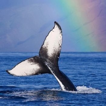 unda_luna's profile picture. 🌈너를 부르자면 첫 발음에 목이 메어서 온 생이 떨린다