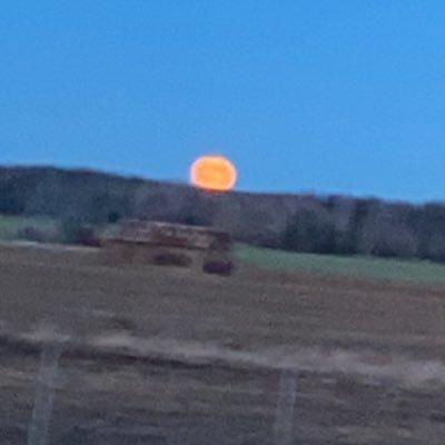 p_k369's profile picture. IAM the truth