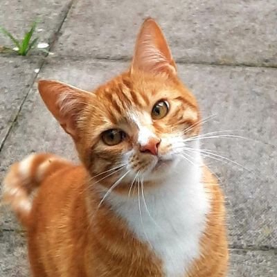 Chrysa46958080's profile picture. Αγαπώ τα ζώα,τον κινηματογράφο,τα ταξίδια,και τη γυμναστική.
I love animals,cinema,travelling and sports.❤