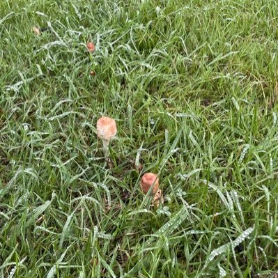 0_seoritae_0's profile picture. 연구자 되기를 연구함