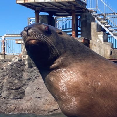 s15SjolJ3o7396's profile picture. 任意整理中残借金90万（元値210万）ギャンブル依存気味 ジャグラー/競馬/競艇 アラサーSE限界社不ちゃんです ADHD診断済みストラテラ服用中