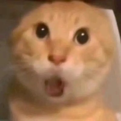 T00T8_'s profile picture. 需要点关注的先关注我，私信发一条，会一一回关的