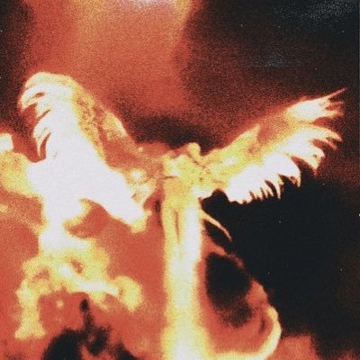 xaleynn's profile picture. 🇺🇦 | OG & Ambassador @initia 🪢