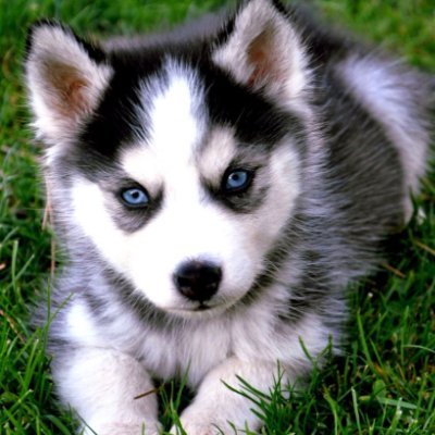 Technogeeks17's profile picture. 