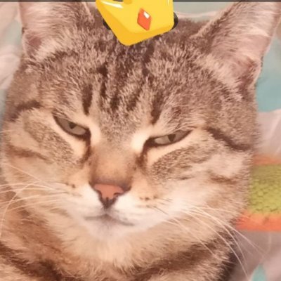 Volociy's profile picture. All crypto events. New Tokens. Fresh activities. Hot news.
Catch your luck in a sea of opportunities.
-
Ask if any question.
Let the luck be with u^_^
bas bas !