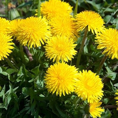 h_1202wata's profile picture. 