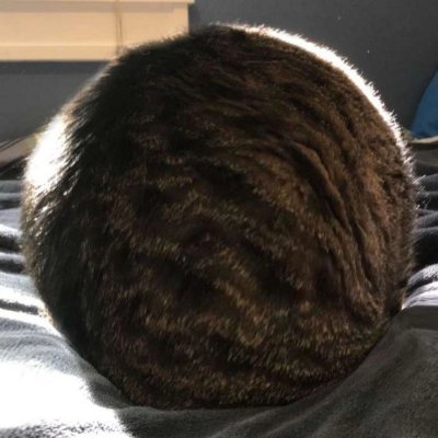 Regina3D's profile picture. Worst animator.

You can find all animations in Full HD here: 
https://t.co/eQcK2kUQVr

Everyone else links is a scammer