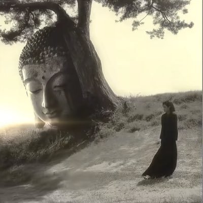 doyeonyu's profile picture. 🈚️风险暴利 💰赚钱项目，长期合作月入五-六位数以上，适合小白新手都可以来尝试感兴趣来联系：@yujzx_