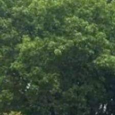 Billy5500347866's profile picture. Available for all bait services