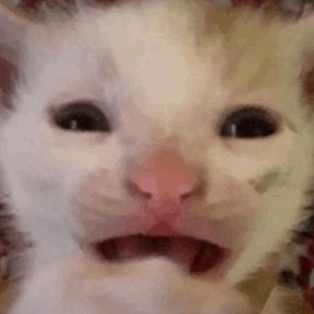 pvccutters's profile picture. fear