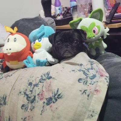 emmanuelmousse1's profile picture. NB | FSSWer | SA/DV Survivor | Settler on Algonquin land | Ppl doing Colonialism, Fascism, Rape apologia & Eugenics will be blocked.