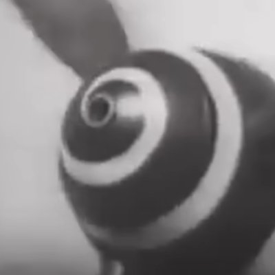 johnsmi96137811's profile picture. 