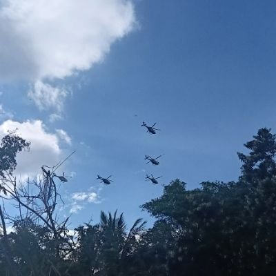 GNayak51243's profile picture. 