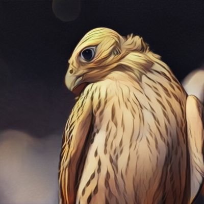 AljumaieMs25768's profile picture. قرناس في عال السحاب متعلي.. .