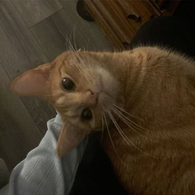 gkysron's profile picture. might as well fck around and accept the things i cant control today .