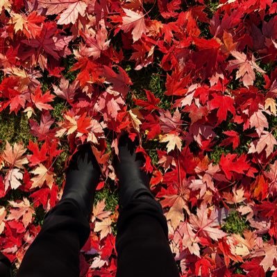 justpamk's profile picture. Homely Girl….