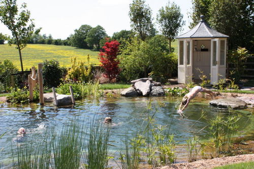 Dive into nature with Gartenart - the UK's leading provider of swimming ponds, also known as natural swimming pools