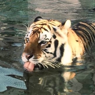 erxmika's profile picture. 