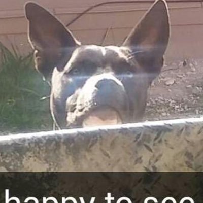 SmithJoezc's profile picture. 