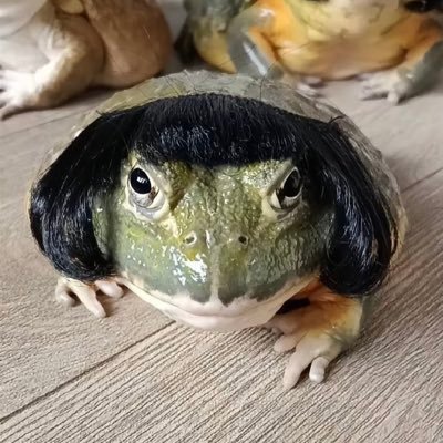 vanilmanil's profile picture. 