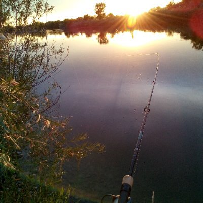 bdcj98's profile picture. Dad|PhDing (Criminal Justice, Criminology and Legal Studies)