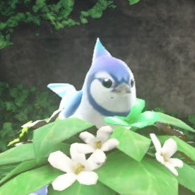 qinginiao214530's profile picture. 太鼓の達人とかマリオオデッセイとか色々ゲームやってます/マリオオデッセイ RTA Any% 1:04:28（Switch2）/太鼓の達人　 2022,2024十段 現在玄人