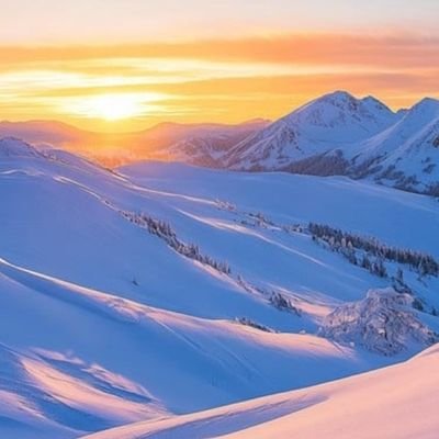 probear0001's profile picture. Appsec researcher, reverse engineer