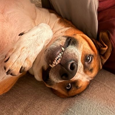 alkemistmo's profile picture. alkemistorganics