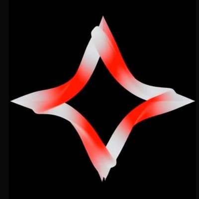 JNHMusk's profile picture. 