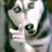 ryanben00's profile image