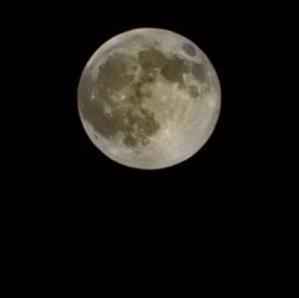 BobFeezy40's profile picture. 