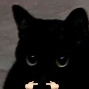 MxxN0T's profile picture. 20! S8tanist /Arcadian /feathered host 🪶