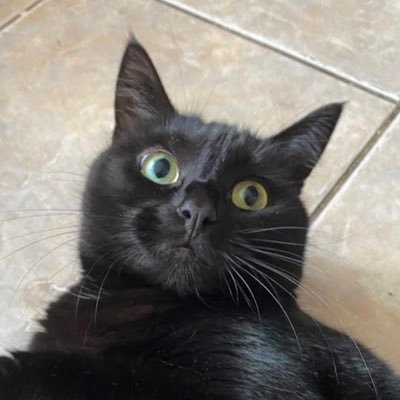 ThatDBLE_T's profile picture. 