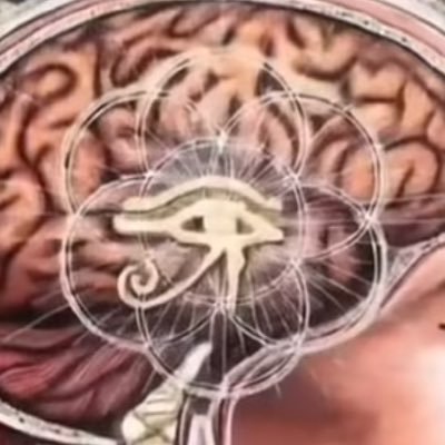 DvmMr38549's profile picture. 