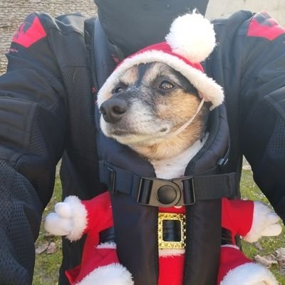 JuniorGuibole's profile picture. 