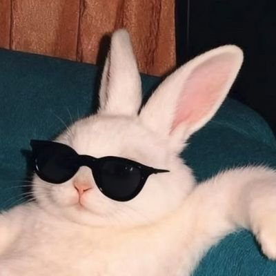 srivignesh24's profile picture. 